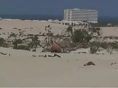 زنی بدون سکس پسر ها شورت از طریق دفتر قدم زد و در حضور همکاران گربه موی خود را برق زد