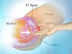 معشوقه با بافرهای بزرگ ، دو خدمتکار جوان را تحقیر می کند ، آنها را سکس زن با پسر با یک لاغر لاستیکی لعنتی و صورت را تف می کند