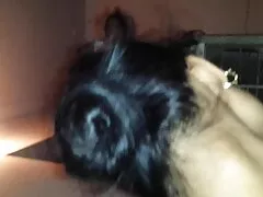 نامادری لزبین بالغ با دوستانش استراپونز دختر جوان را نشان می دهد تمام لذت های سکس سکس پسر با مامان سه نفری لزبین سخت